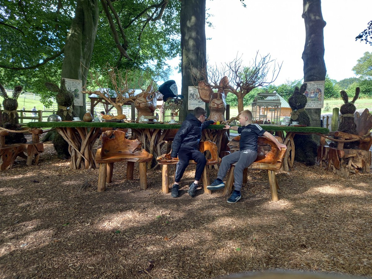 JaneDaviesSheff's tweet photo. @Mothershiptons enjoyed the riverside walk, petrifying well and Alice in Wonderland trail thanks https://t.co/sPovjEnyzM