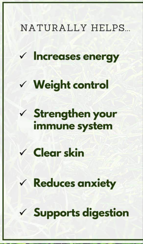 Hello: 🤗🙌🙌
<a href="/EquityDiamond/">VEGANAITOR 🇬🇧 🇧🇲 🇿🇼</a> <a href="/MatopeNigell/">Hon. MatopeNigel</a> @Davynewboi <a href="/runya_gee/">Babes_WekwaZvimba🇿🇼❤️</a> 🕺💃🏃‍♀️