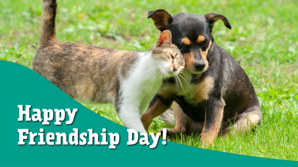 monster pets supplies