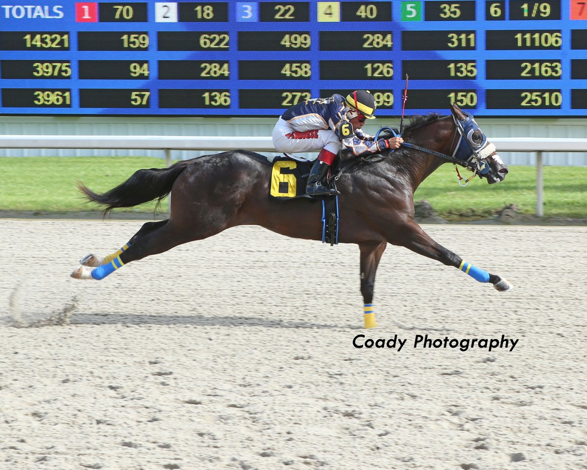 deltaracing's tweet photo. Can the fastest qualifier, Blood Money, come through in the $826,620 Lee Berwick Futurity? Be with us on Saturday to find out. First post time is at 3 pm for Louisiana Showcase Day! https://t.co/Nmp5XGdLrb