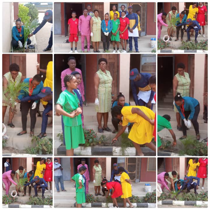 racisolo69's tweet photo. It was with great pleasure that the Rotaract Club of Isolo joined Rotary Club International in commemorating this year's tree planting exercise. The exercise, a pragmatic way of combatting global warming was carried out today in Baptist Model High School (BMHS), Isolo. https://t.co/FEDSt2muGP