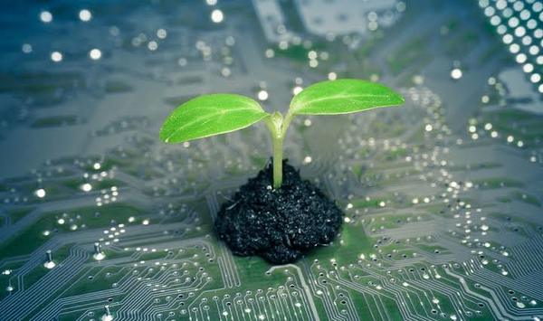 ArcaneInsights's tweet photo. The GIZ-SAIS Investment Readiness Programme 2022 for Agtech Start-ups in Africa - Busine... https://t.co/qZlfSpsiZz https://t.co/NHIGs5wFcR