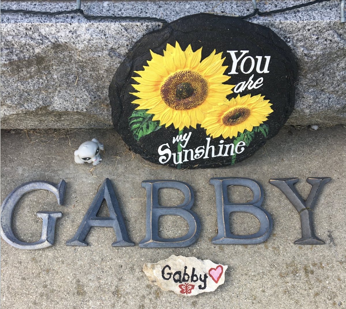 David Mayer MD (@walkforptsafety) on Twitter photo 1/ Today's walk in memory of Gabby Galbo who would have turned 15 yo yesterday had she not died tragically at 5 yo due to preventable medical harm. #WalkAcrossAmerica <a href="/PLAN4ZERO/">Patient Safety Movement Foundation</a> <a href="/MedStarIQS/">MedStar Institute for Quality and Safety</a> <a href="/tgranz/">Tracy Granzyk</a> <a href="/MHatlie/">Martin Hatlie, JD</a> <a href="/CHemmelgarnMS/">Carole Hemmelgarn, MS, MS</a> 1/ Today's walk in memory of Gabby Galbo who would have turned 15 yo yesterday had she not died tragically at 5 yo due to preventable medical harm. #WalkAcrossAmerica <a href="/PLAN4ZERO/">Patient Safety Movement Foundation</a> <a href="/MedStarIQS/">MedStar Institute for Quality and Safety</a> <a href="/tgranz/">Tracy Granzyk</a> <a href="/MHatlie/">Martin Hatlie, JD</a> <a href="/CHemmelgarnMS/">Carole Hemmelgarn, MS, MS</a>