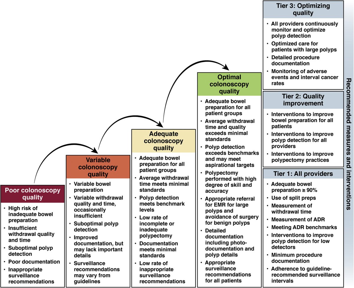 We tried to emphasize when there were differences between an 'adequate' & optimal colonoscopy / colonoscopist. As an example, we suggested a mean normal colonoscopy WT of >=6 min (aspirational target 9 min) & ADR of >=30% (aspirational 35%).