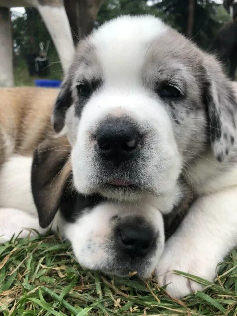 dj Thistle ੴ tweet media