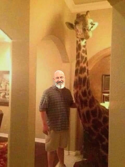 PontycynonRFC's tweet photo. Last Friday
Me: "Babes, it's your birthday tomorrow, what would you like?"
The wife: "A giraffe"
Me: "What would you REALLY like that I can actually give you?"
The wife: "For you to take me out tomorrow instead of going out with the boys to watch #BoksvLions"
Next day...... https://t.co/zbFZGUKI97