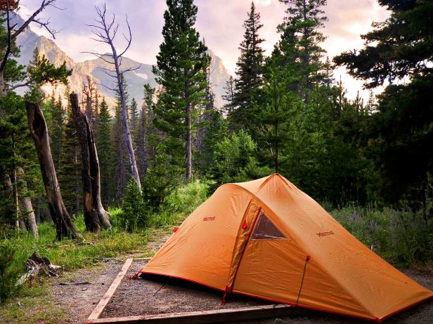 "Best National Park Camping Sites in America"  Ummm... lets go!  

Just make sure to clean up after yourself 🚯

hubs.li/H0T9nSW0