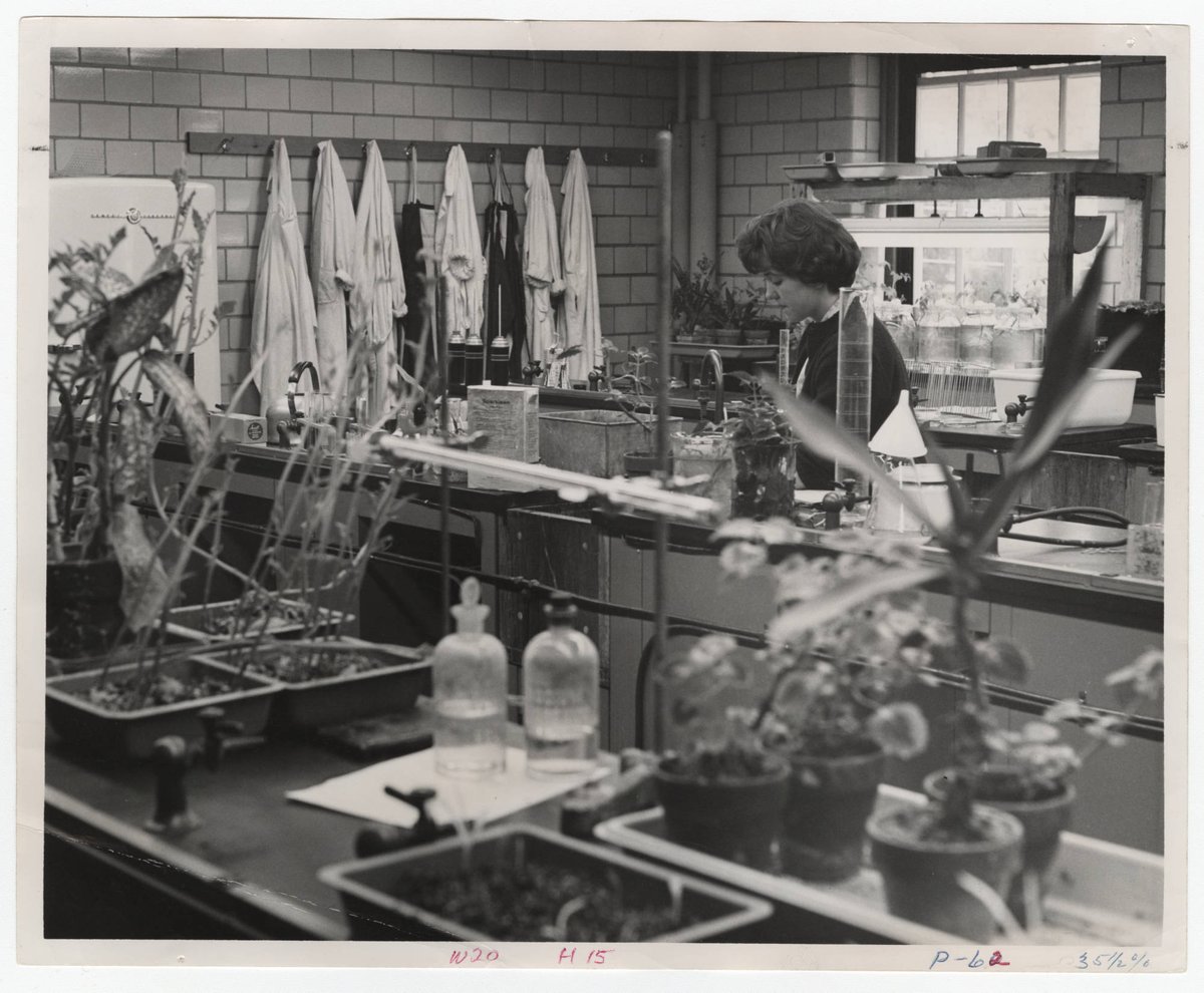 HanoverCollege's tweet photo. Summer is winding down, and so is our Summer Research Fellows Program! This summer, 12 students conducted research on campus with Hanover biology, chemistry, and geology professors. More to come soon!

Photo courtesy of @DugganLibrary archives 🔬#APlaceToBelong #APersonToBecome https://t.co/iHA2WJKoOU