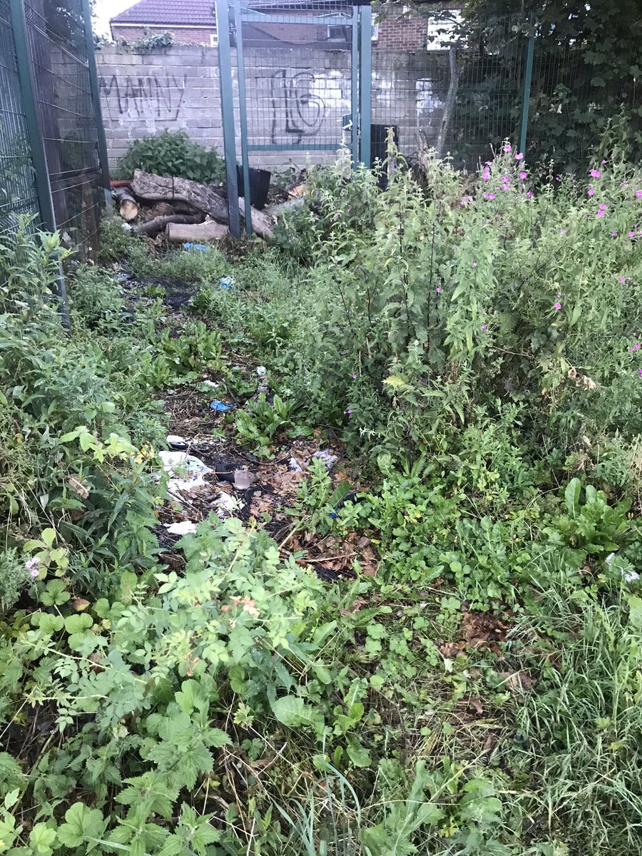 zainab_c's tweet photo. @KCollector @bradfordmdc @khidmat_centres @bradfordmdc maybe the kids can play here amongst the rats that live in Spencer field? Since Bradford council doesn’t think it’s an issue! https://t.co/Q8uHfeZnvT