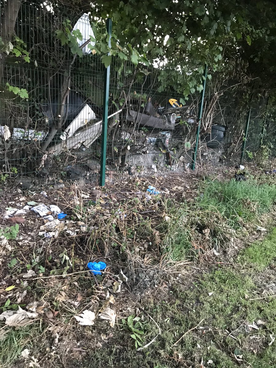 zainab_c's tweet photo. @KCollector @bradfordmdc @khidmat_centres @bradfordmdc maybe the kids can play here amongst the rats that live in Spencer field? Since Bradford council doesn’t think it’s an issue! https://t.co/Q8uHfeZnvT