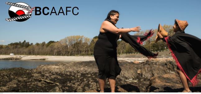 BC_IBIC's tweet photo. Funding Alert! The BC Association of Aboriginal Friendship Centres aims to support the recruitment and retention of Indigenous Professionals serving in Indigenous not-for-profits through the Leading Indigenous Service Sector Training (LISST) grant. See https://t.co/05Pg280Hjb https://t.co/SxdWLUzQxY