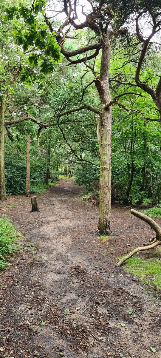 We out here 😎🤝