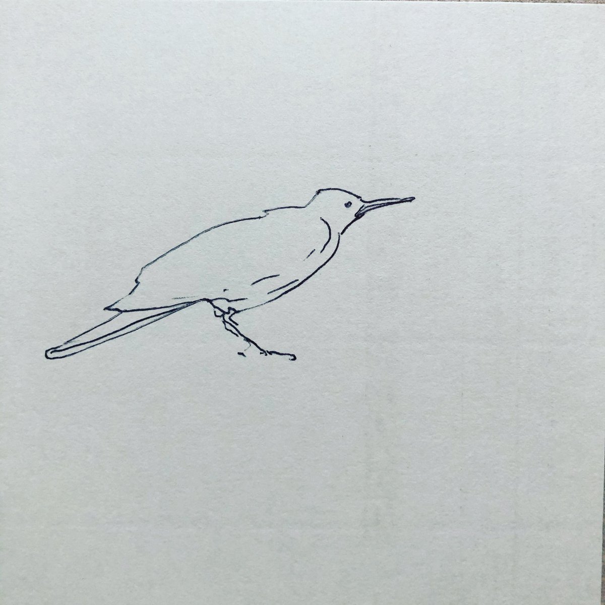 AkashBhatt72's tweet image. When was the last time you saw your parents?
#startingout #onyourown