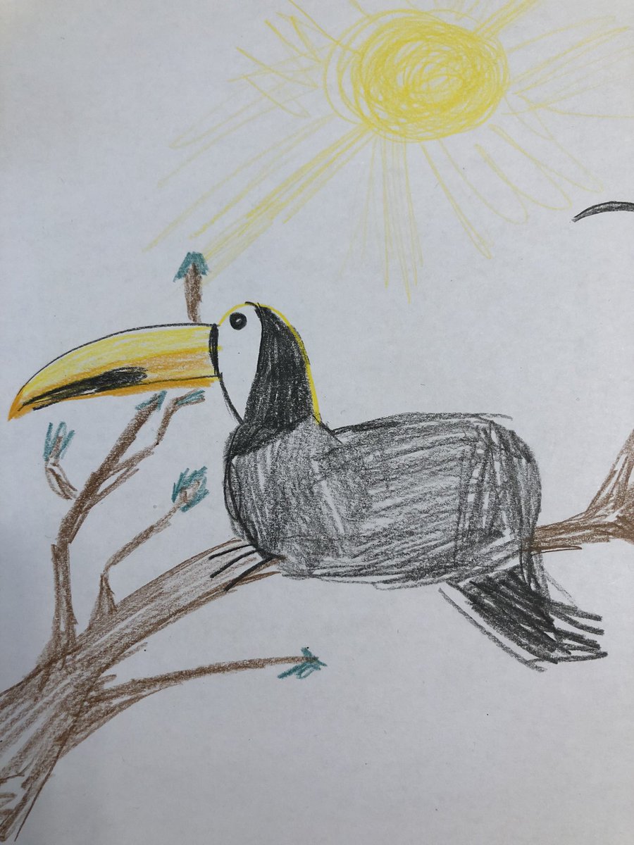 51 Malvorlage Tukan Ausmalbilder / Malvorlagen kostenlos