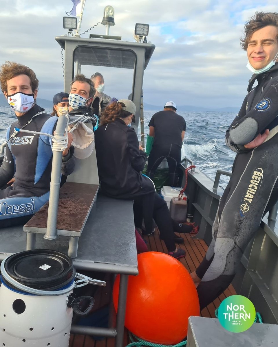 NorthernSpainT's tweet image. 🦈 Exhilarating, exciting and fun! Come snorkel with sharks with #northernspaintravel

🐋 This is one of the most amazing experiences you can have in the middle of the Bizkaian coast.

#sharkproject

l8r.it/S50K