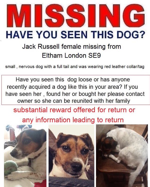 Last Friday of the Month means #HelpFindThem #Tweetathon is here again and as we slowly inch towards relief from all pandemic misery, the search for our missing pets, as always, goes on. Please find #Zappa - all info <a href="/cate_rees/">ZAPPA STILL MISSING</a>