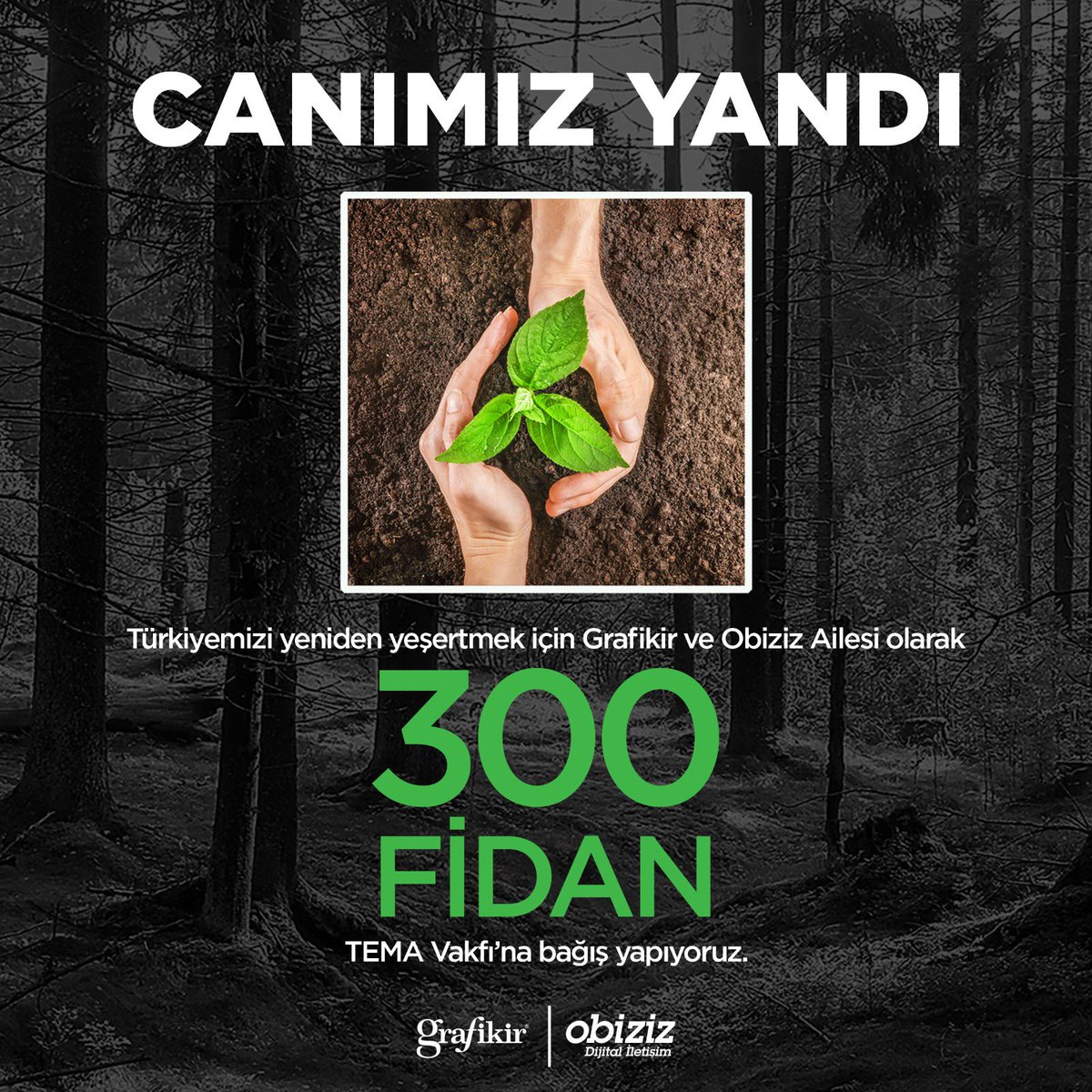 Bu sefer canımız çok yandı.
Biz birlik olduğumuz zaman neler yapabileceğimizi bütün dünya biliyor. Şimdi birlik zamanı.

Grafikir ve Obiziz Aileleri olarak 300 fidan bağışıyla, yeniden yemyeşil bir Türkiye için Tema Vakfı’na destek oluyoruz.

#YenidenYeşerteceğiz #TemaVakfı