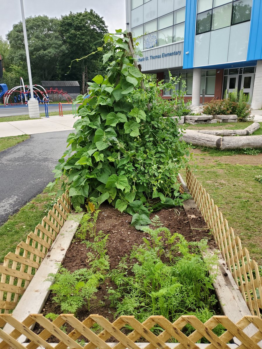 Mary Beth Tighe tweet media