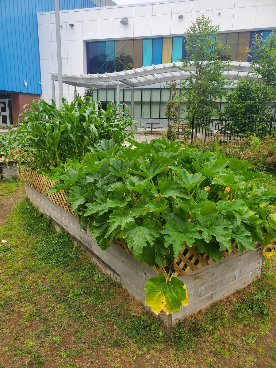 Mary Beth Tighe tweet media