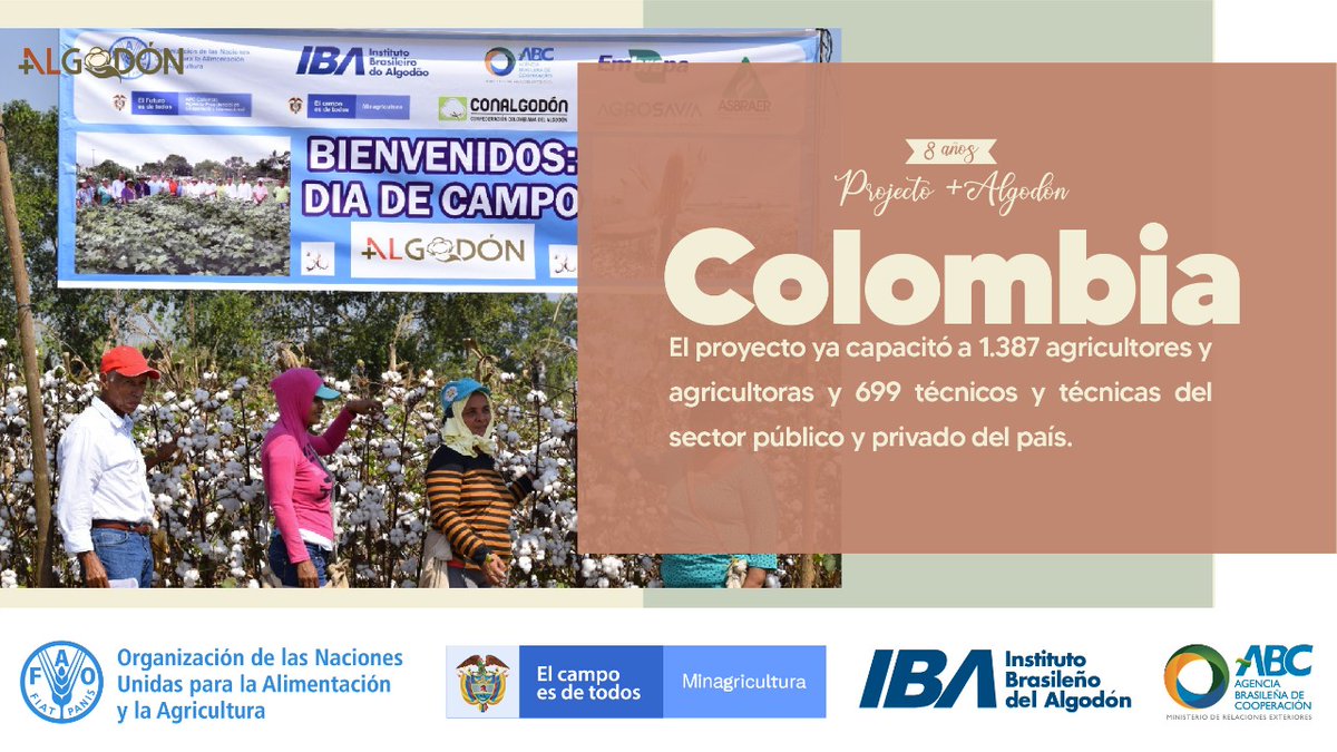 CooperaciónBrasilFAO tweet media