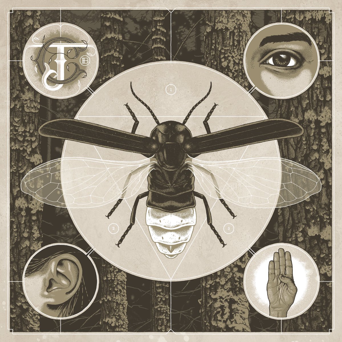 Alice in Chains tweet media