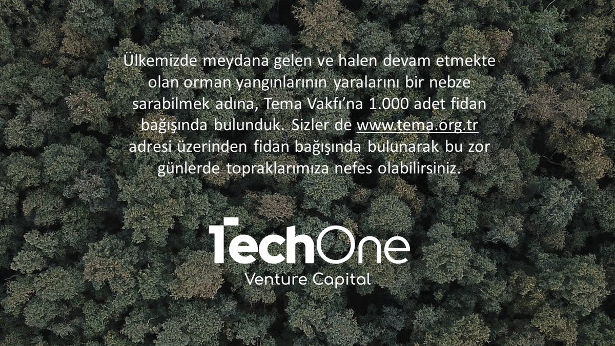 TechOne tweet media