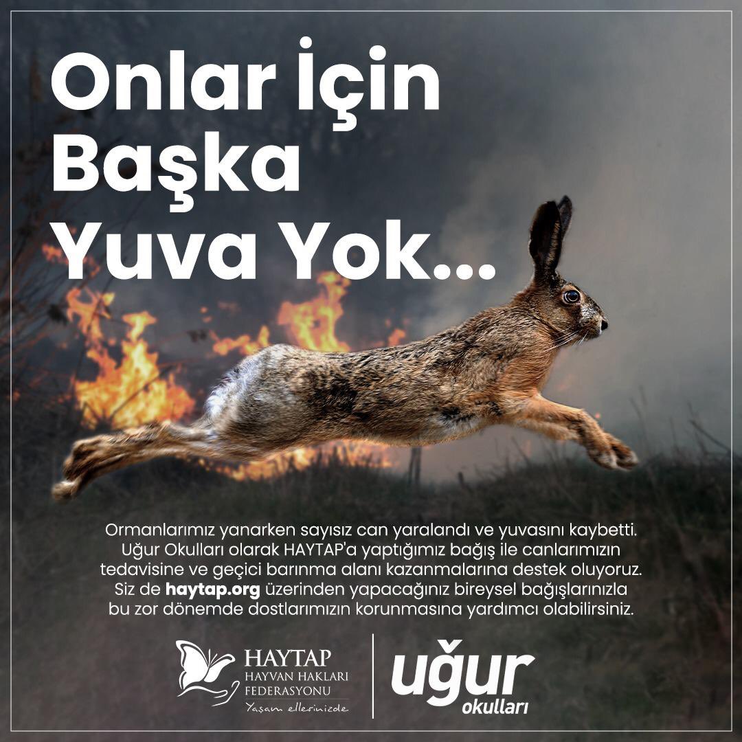 Ormanlarımız yanarken sayısız can yaralandı ve yuvasını kaybetti.Uğur Okulları olarak <a href="/HAYTAP/">EGE</a>'a yaptiğımız bağışla canlarımızın tedavisine destek oluyoruz. Siz de haytap.org üzerinden yapacağınız bağışla dostlarımızın korunmasına yardımcı olabilirsiniz #HAYTAP