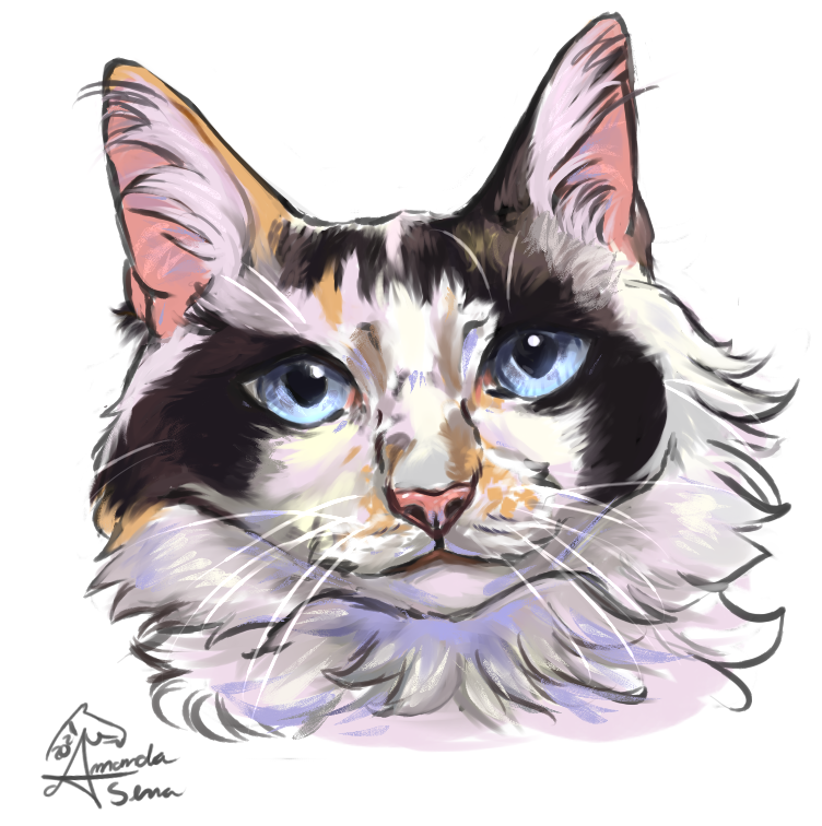 SpartanMandy tweet media