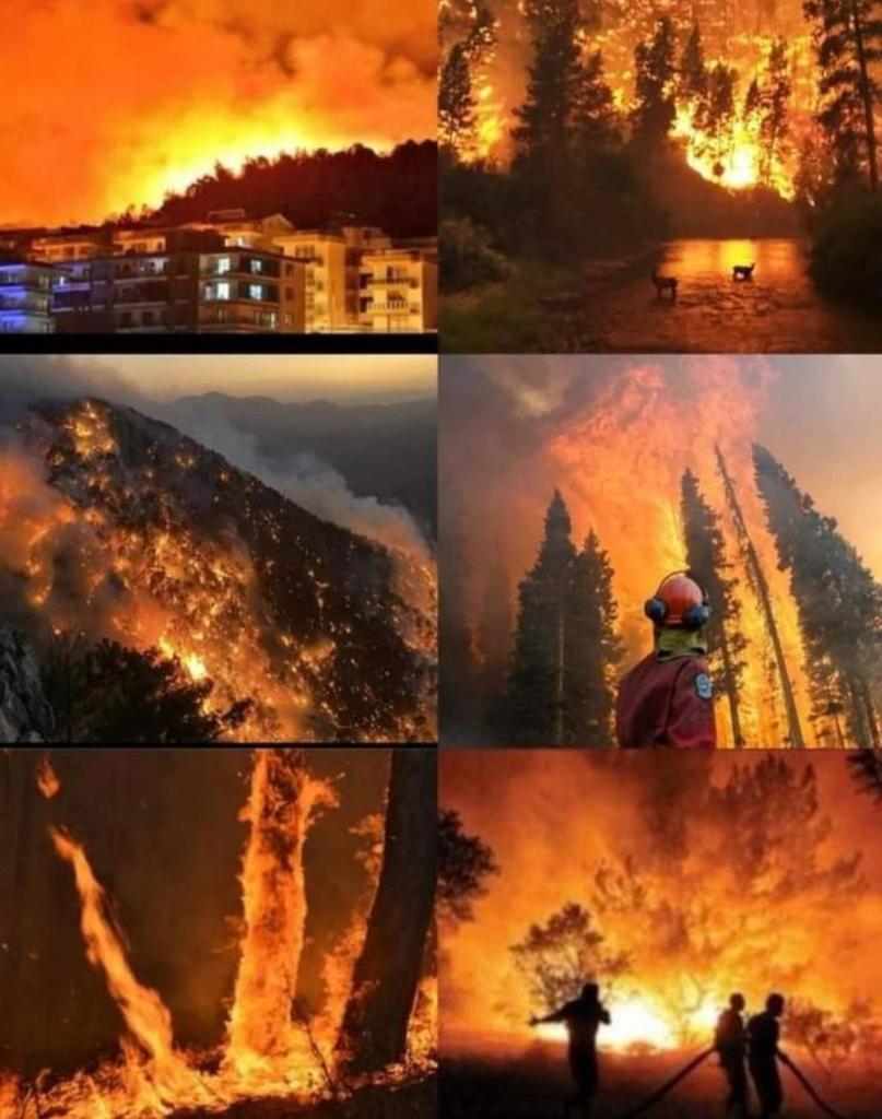 BelikeSadia's tweet photo. Forest ,animals, people, houses are burning in turkey. Pray for them.
#PrayForTurkey https://t.co/aZCqMPjgQO