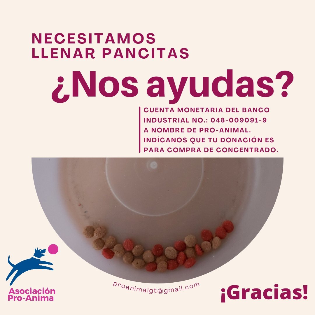 Proanimal_gt's tweet photo. #QuedateEnCasaGt
Se nos acaba el concentrado y necesitamos llenar muchas pancitas.
¿Nos ayudas?
Cuenta de monetarios del Banco Industrial No.: 048-009091-9 a nombre de Pro-animal.
Recuerda indicarnos que tu donación es para la compra de contado.
¡Gracias!
#Dona #Concetrado https://t.co/dYh63qAFCT
