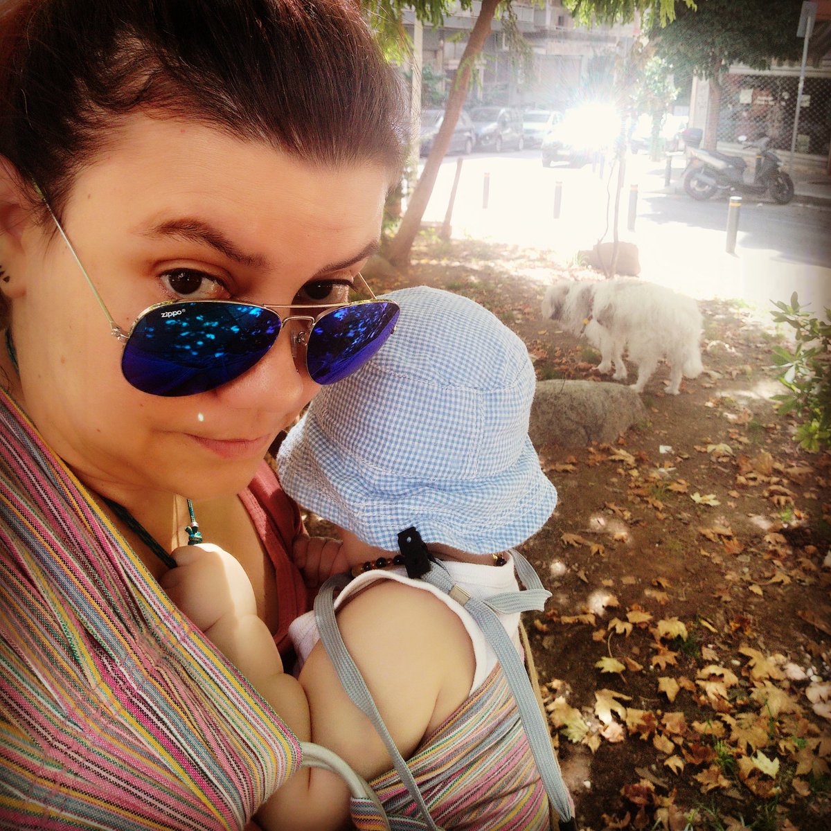 MMaraDini's tweet photo. 2σε1... Γιατί μπορώ! 🐕 👶🏼
#2in1 #dogwalk #babywearing #ringsling #friday #outandabout #ταγόριμου #mybabyboy #babyboy #nbb #imx #meandmymonkey #mylittleman #love #mama #mother #motherandson #son #family #familymoments #moments #travelgirl #yolololo #maradinians #summer2021 https://t.co/bfQwvz6qan