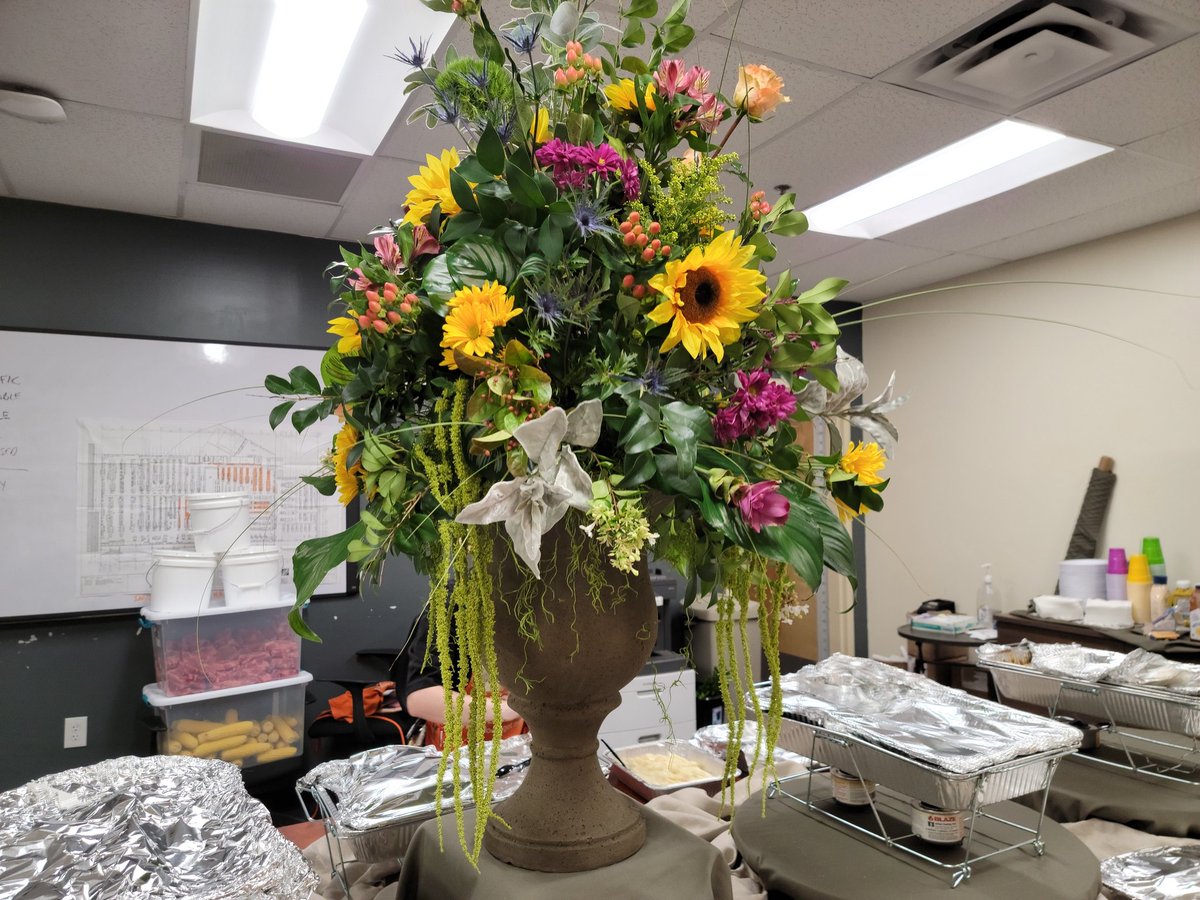 shannon boyd tweet media