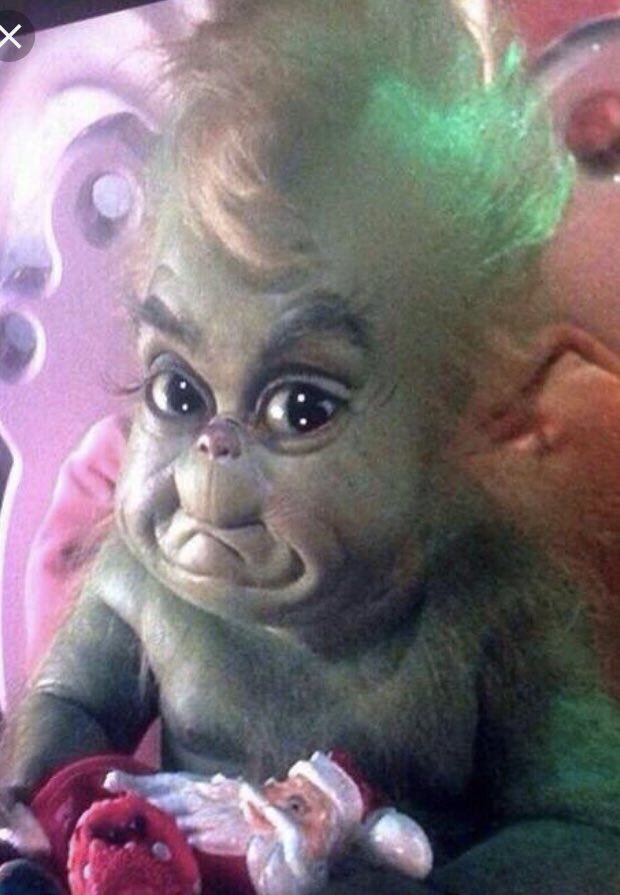 BrandiniAlfonso's tweet photo. @SilviaRaven1998 @frescolita423 Tú termina de ver el Grinch baleee https://t.co/VU3NzE0eE2