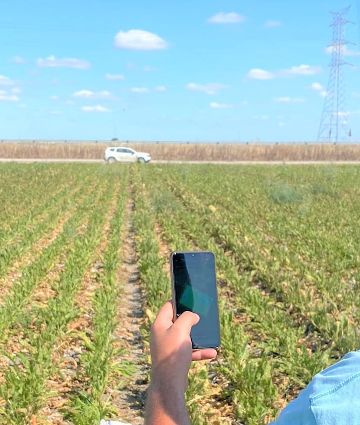 Azucarera tweet media