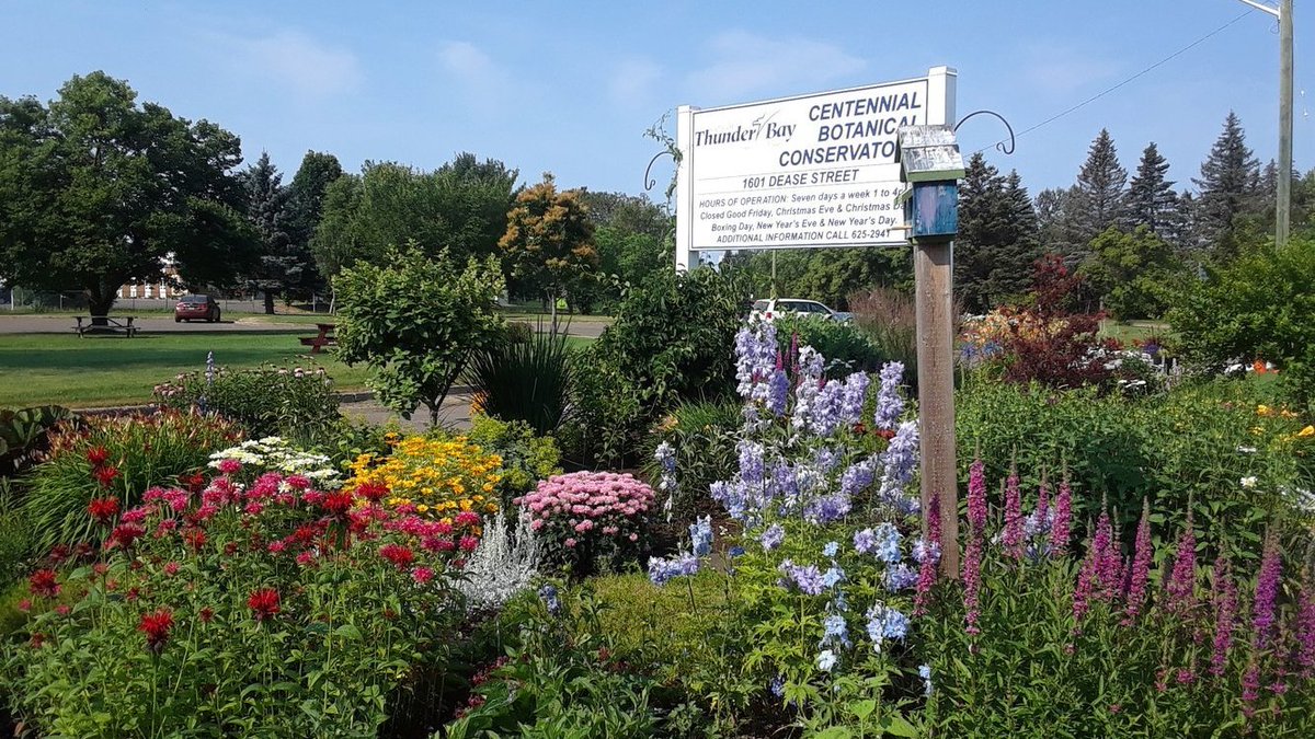 friendsTBcon's tweet photo. Celebrate UN International Day of Friendship! Bring a friend and explore #ThunderBay's International Friendship Gardens and the Centennial Botanical Conservatory outdoor gardens, only a pleasant stroll apart.
#InternationalDayofFriendship #TBay #Friendship #ActiveTBay #WalkTBay https://t.co/e12hrKUXS6