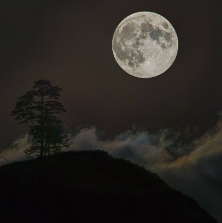 Luna twitter. Luna twitter. логотип луна дизайн. Moon phases 2022. Luna twitter.