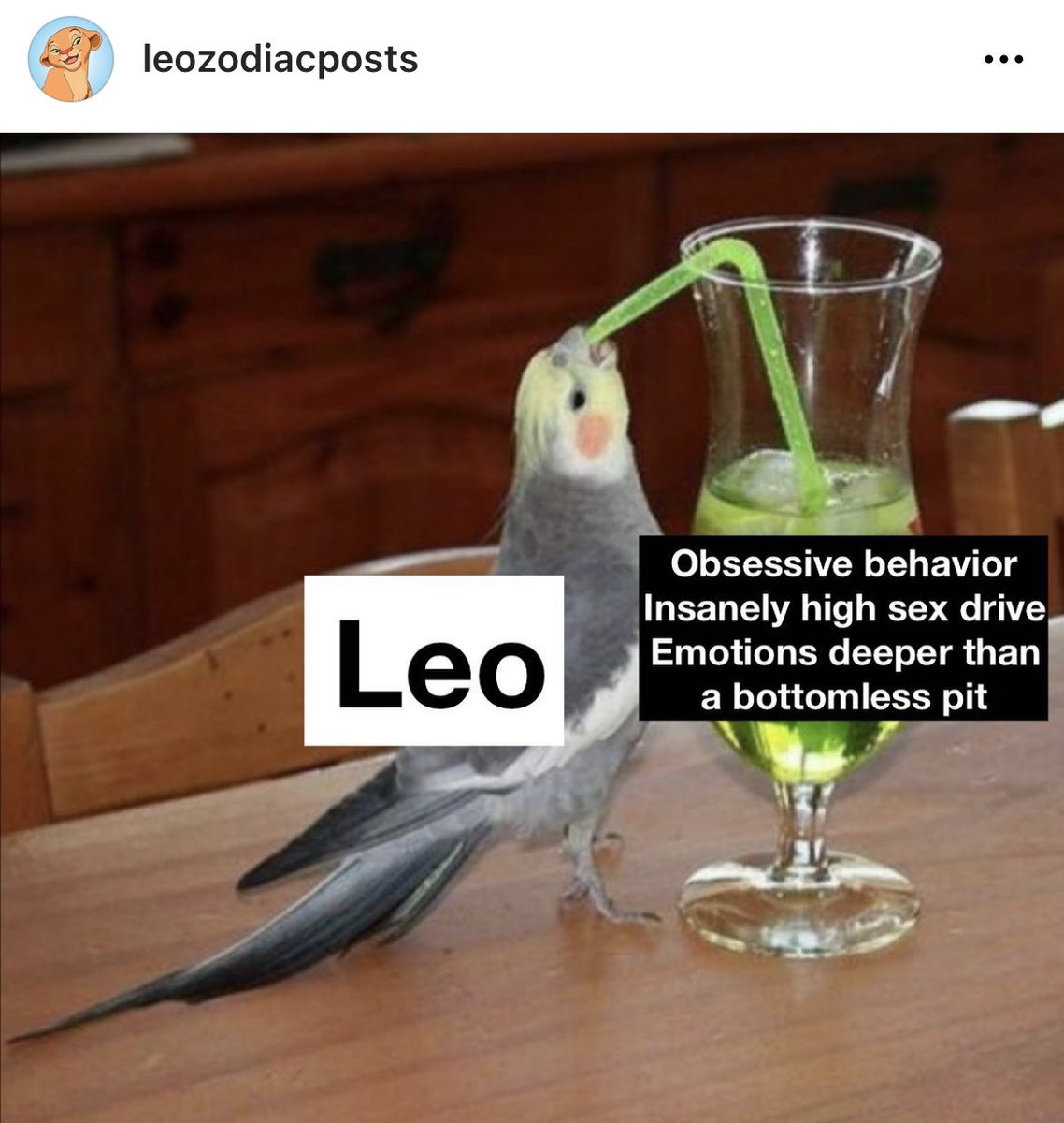 #Leoseason is HERE 🦁😈 follow leozodiacposts on Instagram for all things #Leo