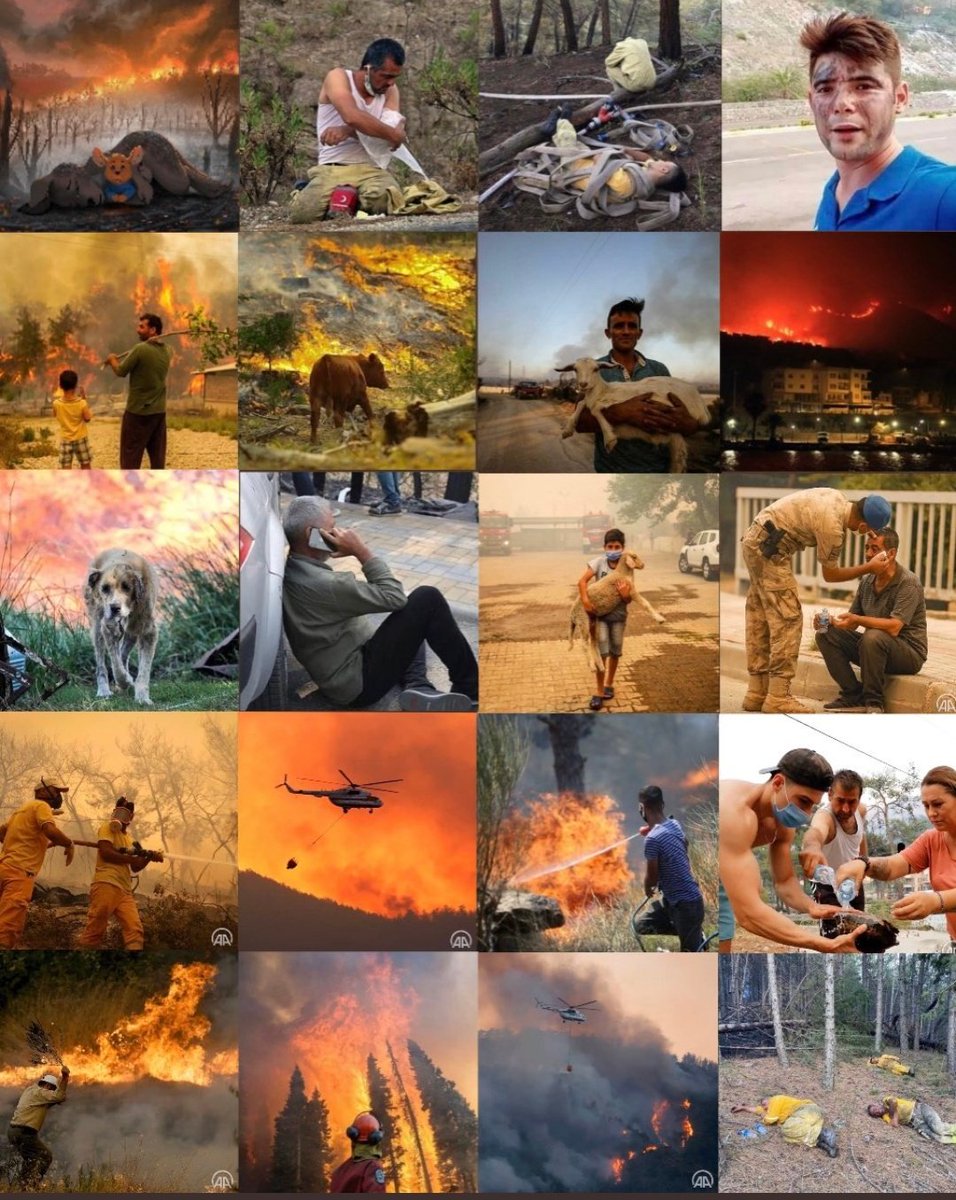 UdeshKu57158610's tweet photo. Our prayers are with the people of turkey. Hope every thing will recover as soon as possible😔
After every dark night there's brighter day ✨
#TurkeyIsOnFire #TurkeyNeedsHelp 
#PrayForTurkey https://t.co/nrAUkNu7G6