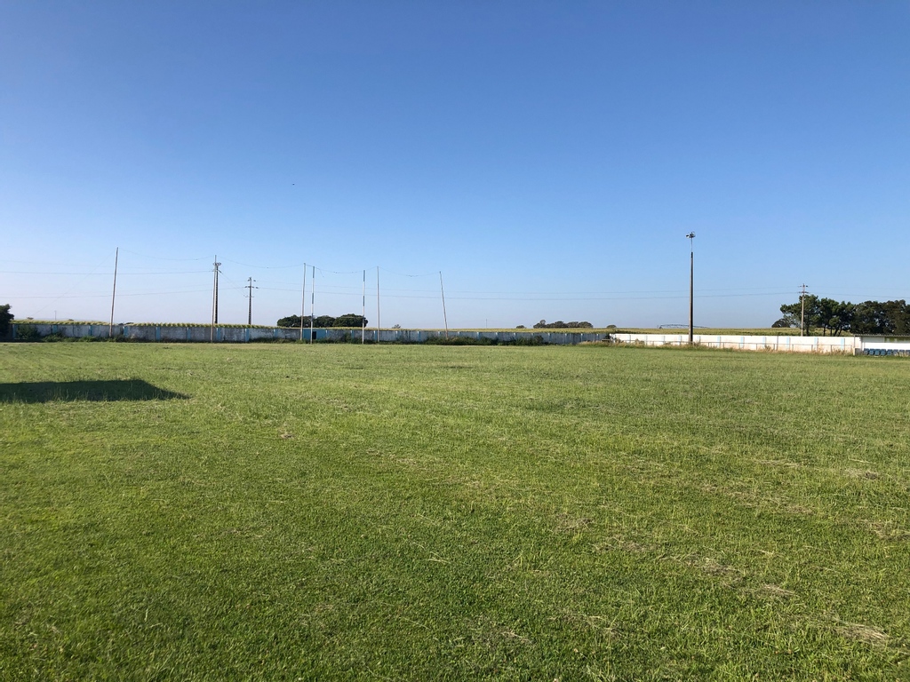 A Época 2021/2022 do RVM está a ser preparada com muitas novidades 🏉 Contamos contigo? 🔵
.
.
.
.
.
#rugby #rugbygram #rugbylife #rugbyplayer #rugbyfamily #rugbyteam #rugby7s #rugbyworldcup #rugbynation #rugbyday #RugbySevens #rugbyclub #rugbytime #rugby🏉 #instarugby