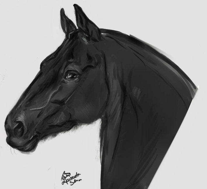 SpartanMandy tweet media