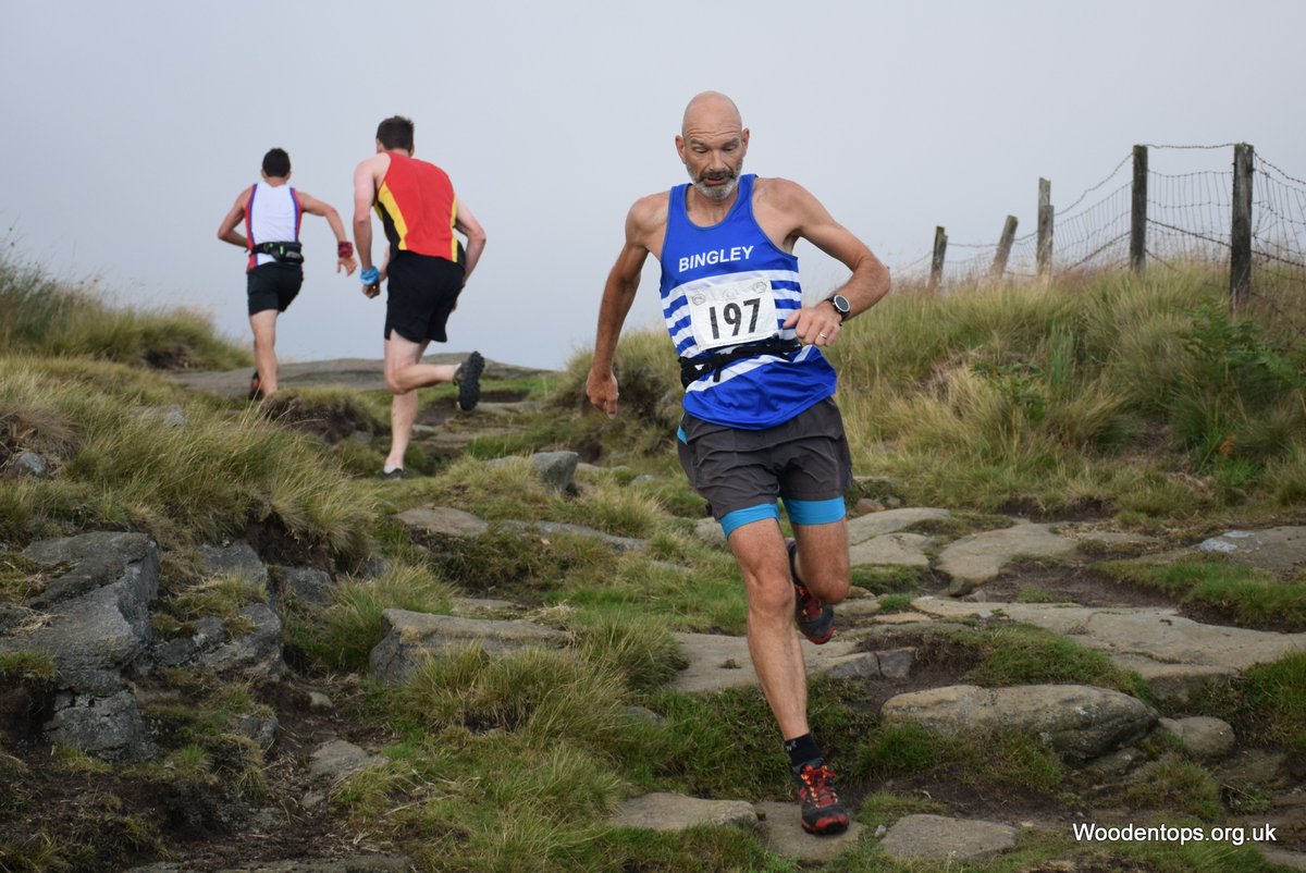 Woodentops tweet media