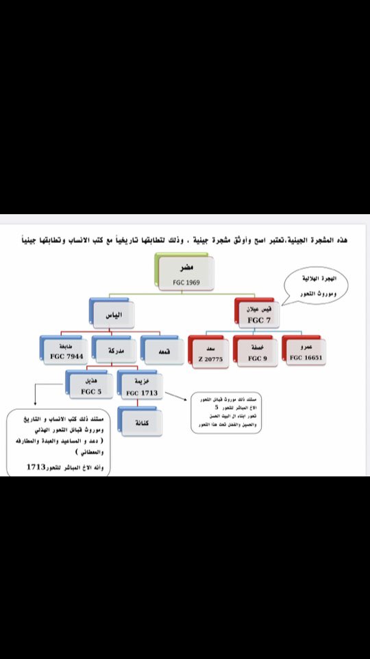 ما هو تحور قيس عيلان ان لم يكن FGC 7
وكتب التاريخ تشهد بهجرة القيسية الى بلاد المغرب وهم على تحور ٧ هناك
اما تحور٥ فهو لهذيل بن مدركة واخوه المباشر جينيا تحور ١٧١٣ خزيمة بن مدركة وبه قريش الطايف وال البيت