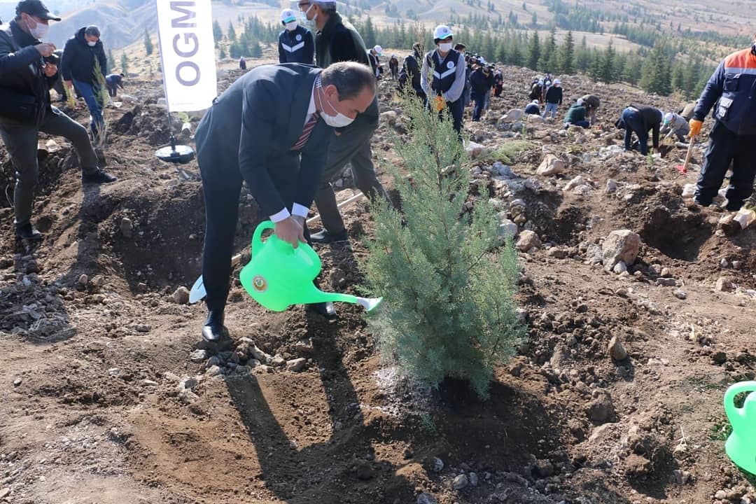 "Konya Gençlik Merkezleri olarak #GençNefes kampanyasına 10042 fidan ile destek olacağız inşaallah "
<a href="/kasapoglu/">Dr. Mehmet Kasapoğlu</a> 
<a href="/gencliksporbak/">Gençlik ve Spor Bakanlığı 🇹🇷</a>
