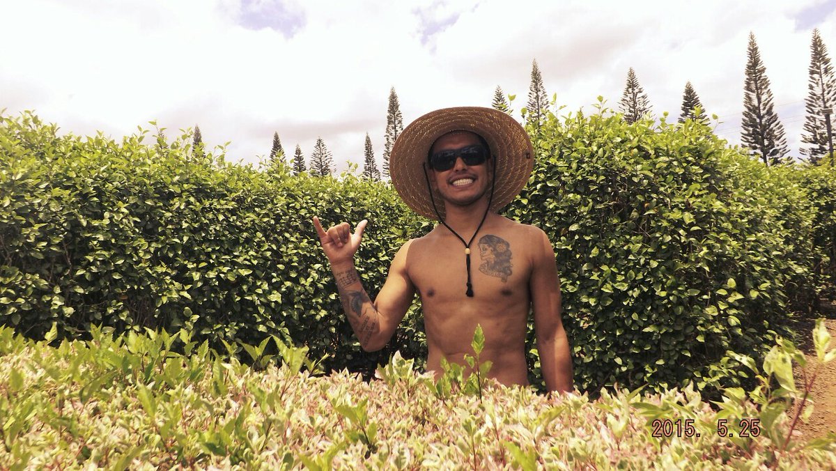 oahuthingstodo's tweet photo. Say "pineapple" snap a selfie and explore The Dole Maze, today! #oahuthingstodo #doleplantation
 #maze #pineapple #fun #smile https://t.co/d50j0Ilzyd