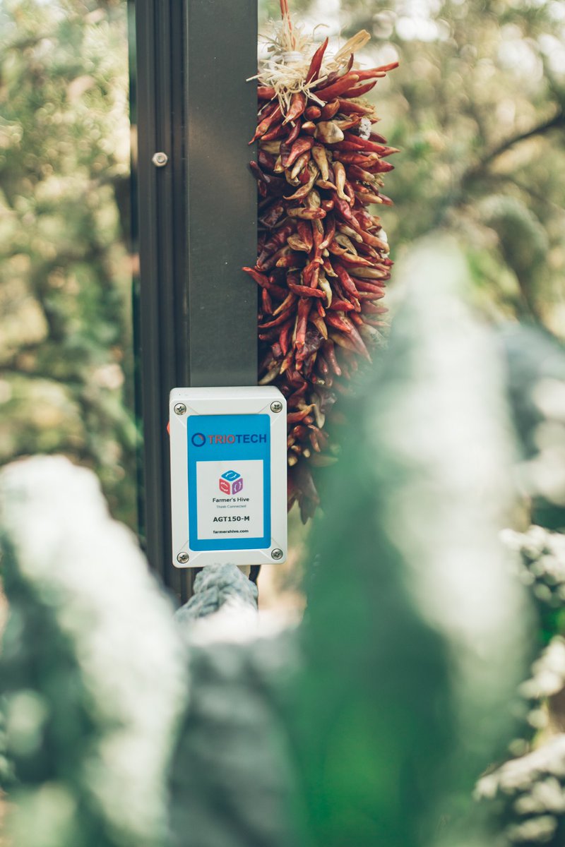 farmershive's tweet image. Greenhouse Growers !! 🌱 Competition Time 🎉

Take our Greenhouse Environment Survey 2021 for a chance to Win a Farmer&apos;s Hive device &amp;amp; 1 year subscription !! (Currently within North America Only)

Click here to access the survey forms.gle/ga6zGTrtvPsqB4…