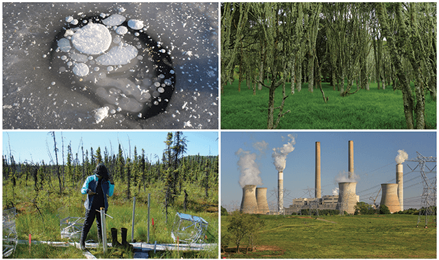 usgcrp's tweet photo. This month, we'll be covering topics related to greenhouse gas emissions, and their impacts on #climate, #environment, and #globalchange. Follow our feed to learn and interact with some great resources. #NCA4 #CSSR #ClimateAndHealthAssessment #SOCCR2 #indicators #GHG https://t.co/EqG66WShpu