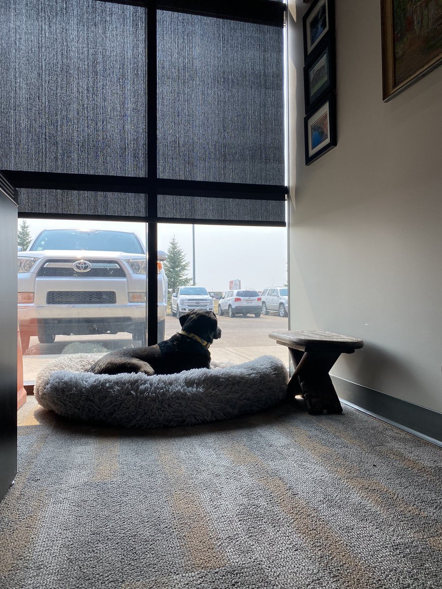 Benchmark Geomatics tweet media