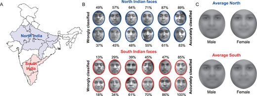 ARVOJOV's tweet image. Check out one of our most popular articles in July: "Are you from North or South India? A hard face-classification task reveals systematic representational differences between humans and machines.”
Full article: doi.org/10.1167/19.7.1 @iiscbangalore #ComputationalModeling