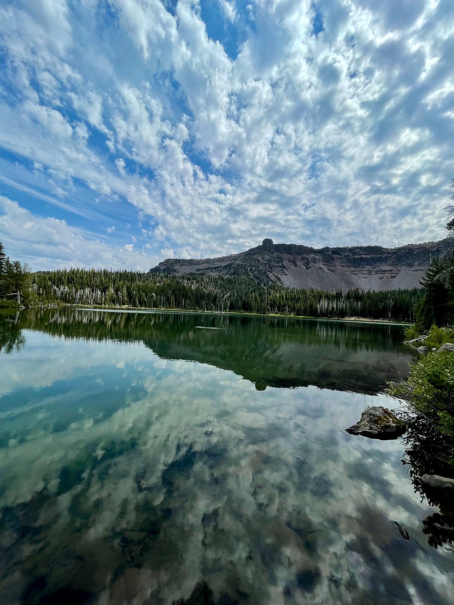 nmweinbend's tweet photo. Oregon sucks. Don’t move here. https://t.co/7VZI9Go41L