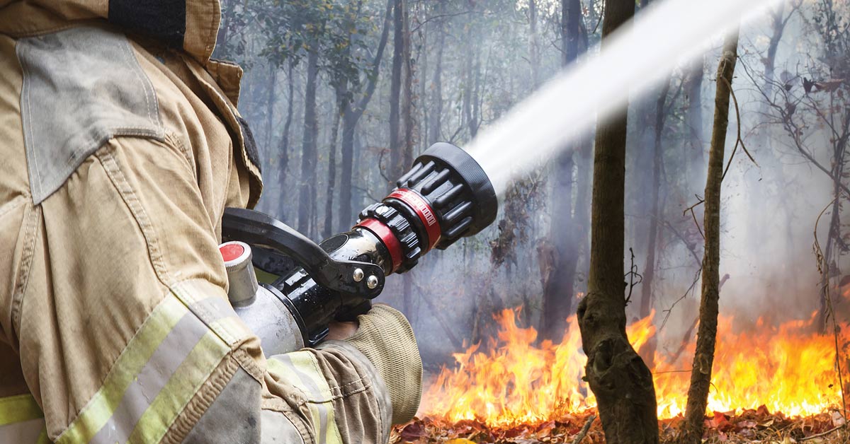 Emeritus professor William Patterson explains that wildfires historically go hand-in-hand with widespread tree die-offs, often due to invasive insects and diseases.  

Stockbridge Arboriculture graduates have their pick of jobs at graduation.

ow.ly/iEQ250FHnSh